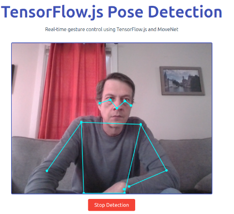 TensorFlow.JS Pose Detection Example