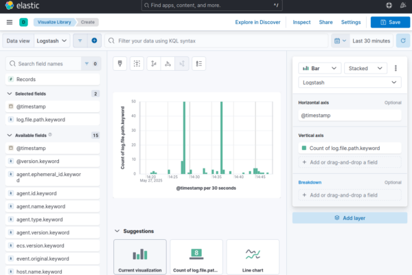 Kibana Visualization Example
